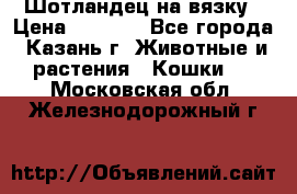 Шотландец на вязку › Цена ­ 1 000 - Все города, Казань г. Животные и растения » Кошки   . Московская обл.,Железнодорожный г.